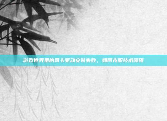 游戏世界里的网卡驱动安装失败,如何克服技术障碍