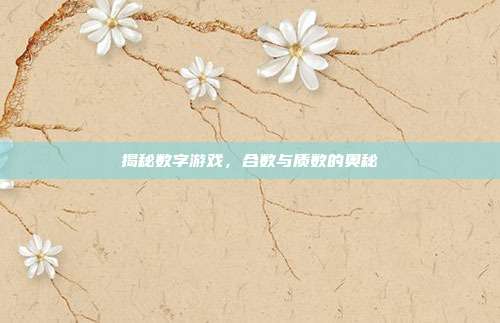 揭秘数字游戏,合数与质数的奥秘