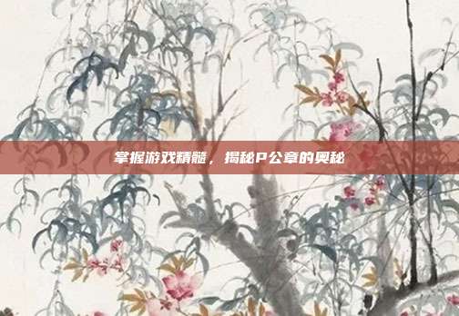 掌握游戏精髓，揭秘P公章的奥秘