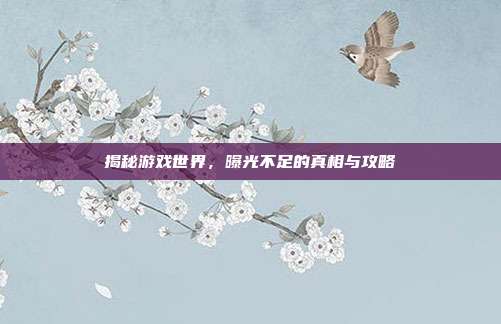揭秘游戏世界，曝光不足的真相与攻略