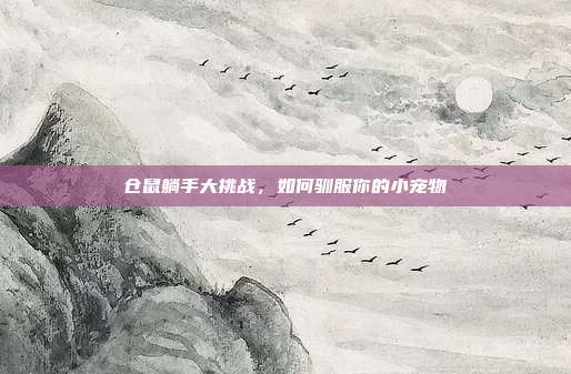 仓鼠躺手大挑战，如何驯服你的小宠物