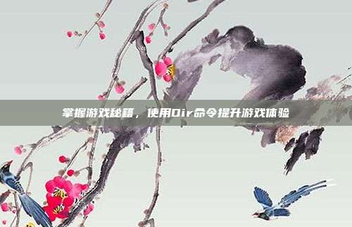 掌握游戏秘籍，使用Dir命令提升游戏体验