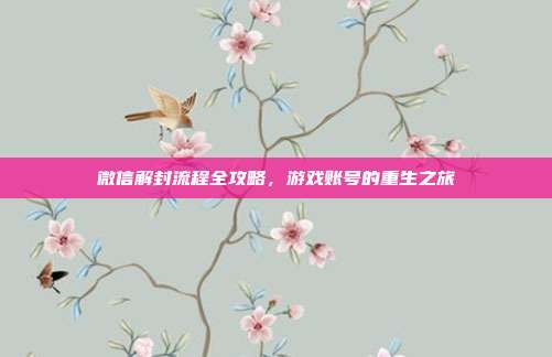 微信解封流程全攻略，游戏账号的重生之旅