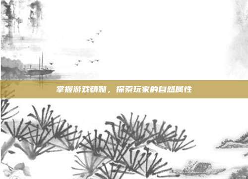 掌握游戏精髓，探索玩家的自然属性