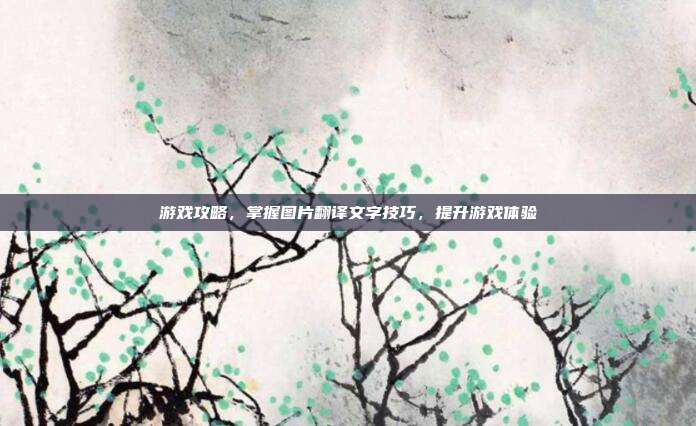 游戏攻略,掌握图片翻译文字技巧,提升游戏体验