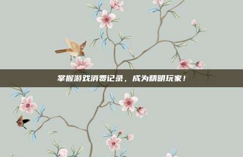 掌握游戏消费记录，成为精明玩家！