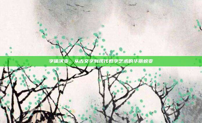 字体演变，从古文字到现代数字艺术的华丽蜕变