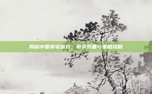 揭秘中国豪宅游戏,豪华装备与策略攻略