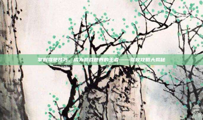 掌握驾驶技巧，成为游戏世界的王者——驾校攻略大揭秘