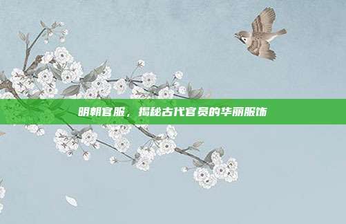 明朝官服，揭秘古代官员的华丽服饰