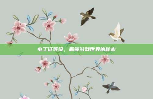 电工证等级，解锁游戏世界的秘密