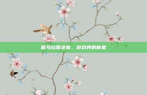 喜马拉雅录音，游戏界的新星
