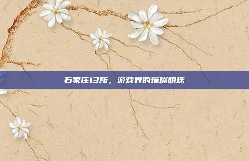 石家庄13所,游戏界的璀璨明珠