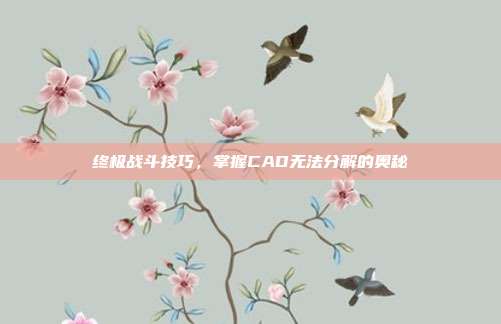终极战斗技巧，掌握CAD无法分解的奥秘