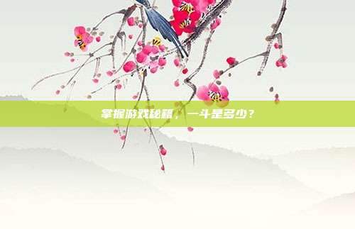 掌握游戏秘籍，一斗是多少？