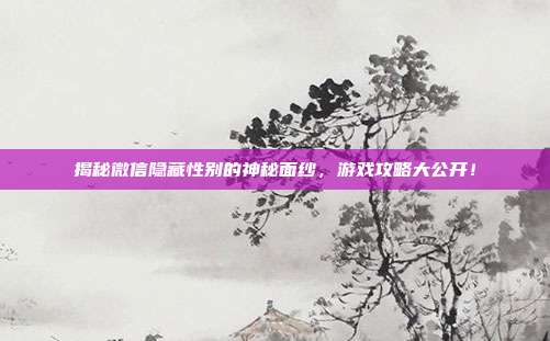 揭秘微信隐藏性别的神秘面纱,游戏攻略大公开!