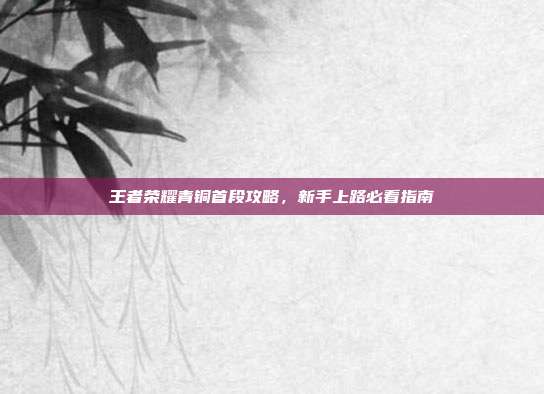 王者荣耀青铜首段攻略，新手上路必看指南