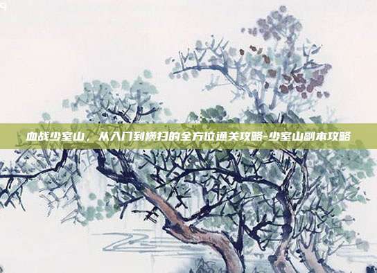血战少室山,从入门到横扫的全方位通关攻略-少室山副本攻略