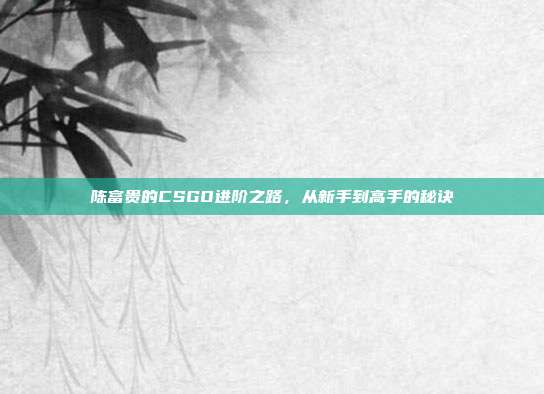 陈富贵的CSGO进阶之路，从新手到高手的秘诀
