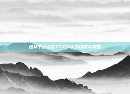 绿袜子战术在CSGO中的运用与策略