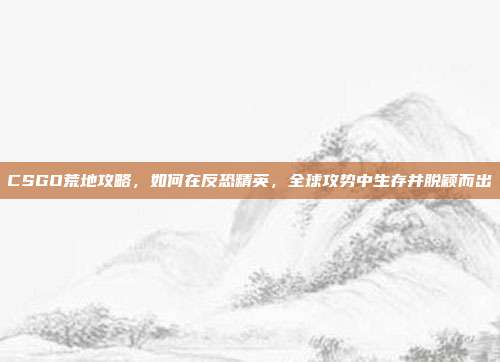 CSGO荒地攻略,如何在反恐精英,全球攻势中生存并脱颖而出