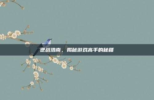 逆战浩南，揭秘游戏高手的秘籍