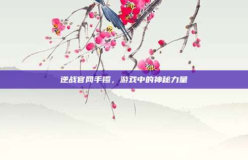 逆战官网手镯,游戏中的神秘力量