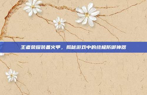 王者荣耀装备火甲，揭秘游戏中的终极防御神器