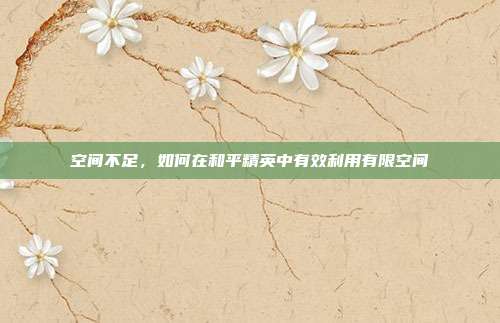 空间不足，如何在和平精英中有效利用有限空间