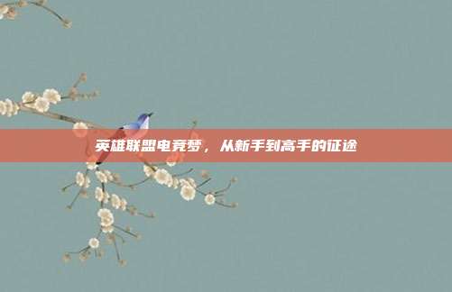 英雄联盟电竞梦，从新手到高手的征途