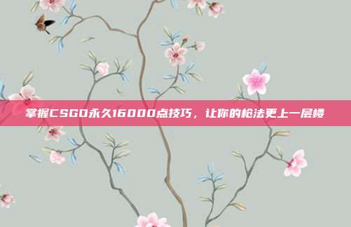 掌握CSGO永久16000点技巧,让你的枪法更上一层楼