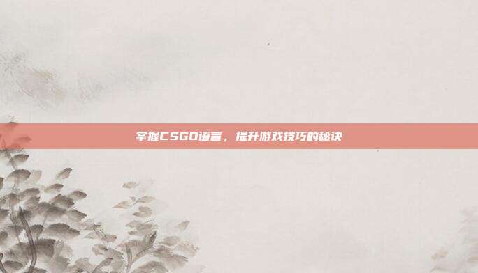 掌握CSGO语言，提升游戏技巧的秘诀
