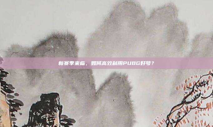 新赛季来临,如何高效利用PUBG好号?
