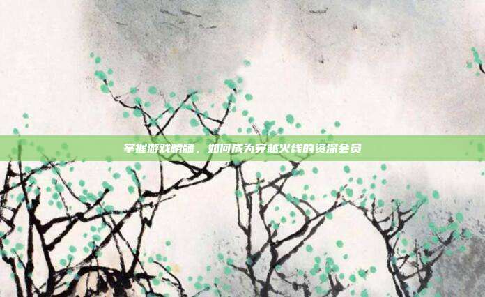 掌握游戏精髓,如何成为穿越火线的资深会员