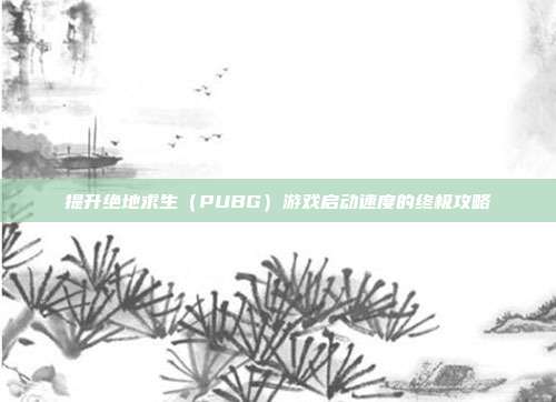 提升绝地求生(PUBG)游戏启动速度的终极攻略
