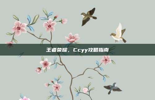 王者荣耀，Ccyy攻略指南