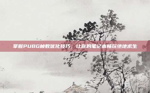掌握PUBG帧数优化技巧，让你的笔记本畅玩绝地求生