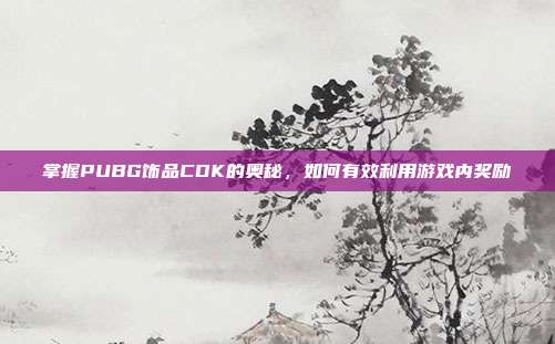 掌握PUBG饰品CDK的奥秘,如何有效利用游戏内奖励