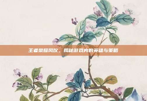 王者荣耀风仪,揭秘游戏内的英雄与策略