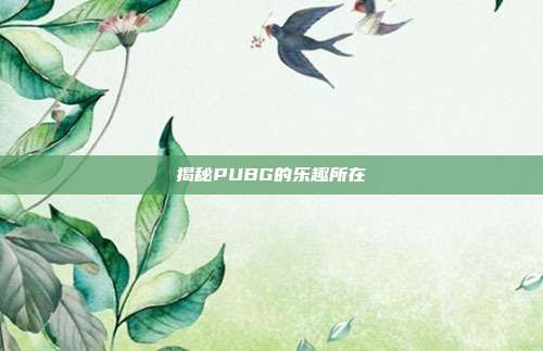 揭秘PUBG的乐趣所在