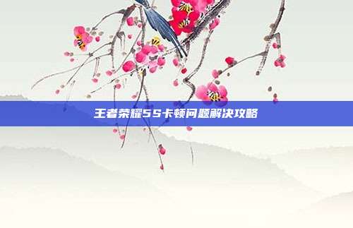 王者荣耀5S卡顿问题解决攻略
