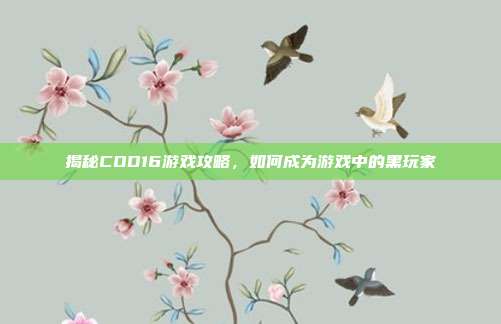 揭秘COD16游戏攻略，如何成为游戏中的黑玩家
