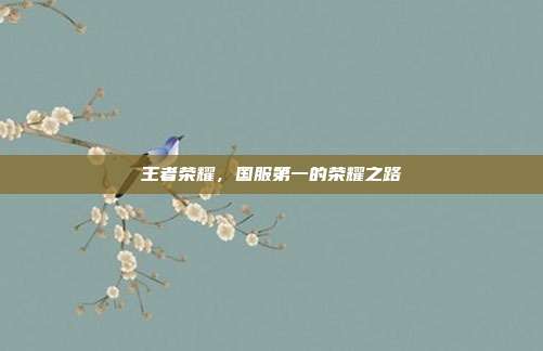 王者荣耀，国服第一的荣耀之路