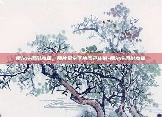摩尔庄园斑点鲨,那片星空下的蓝色传说-摩尔庄园斑点鲨