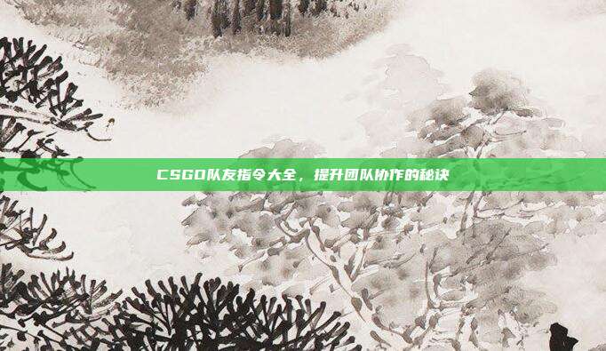 CSGO队友指令大全，提升团队协作的秘诀