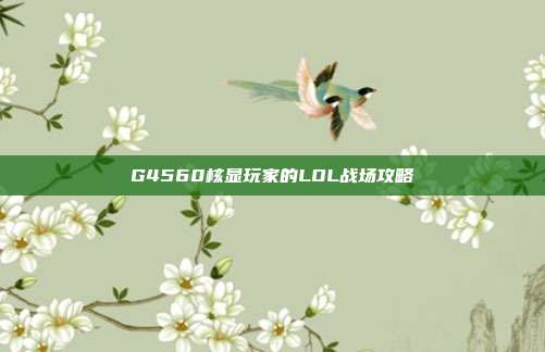 G4560核显玩家的LOL战场攻略