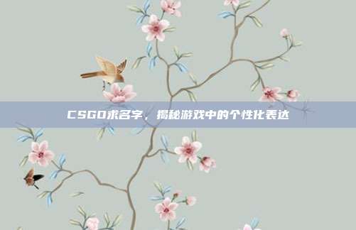 CSGO求名字，揭秘游戏中的个性化表达
