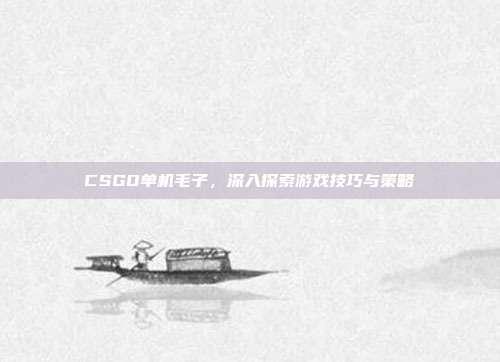 CSGO单机毛子，深入探索游戏技巧与策略