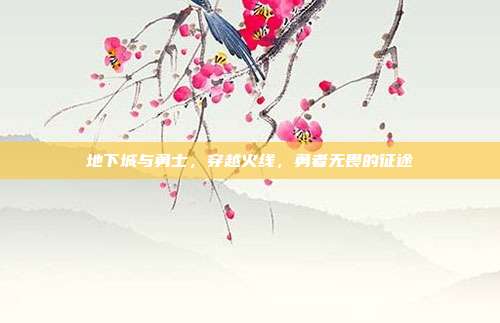 地下城与勇士，穿越火线，勇者无畏的征途