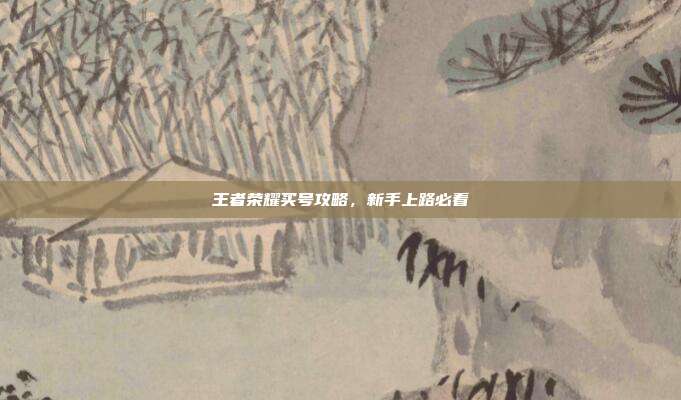 王者荣耀买号攻略，新手上路必看